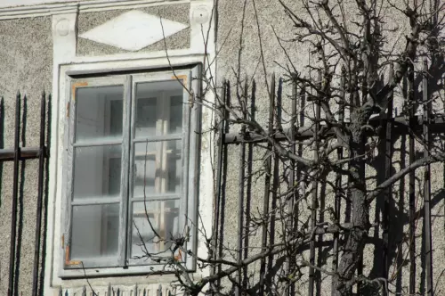 Fenster