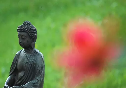 Buddah im Garten
