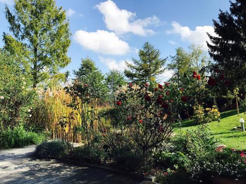 Garten Scharten