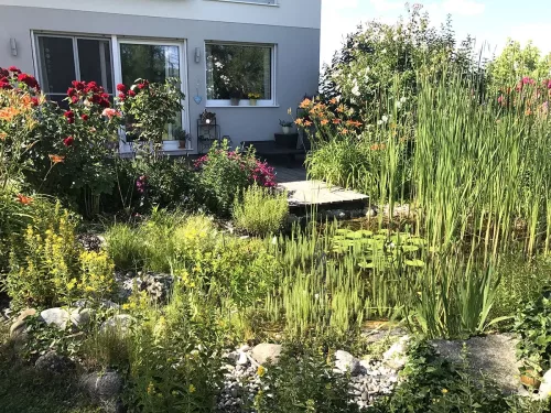Biotop in unserem Garten