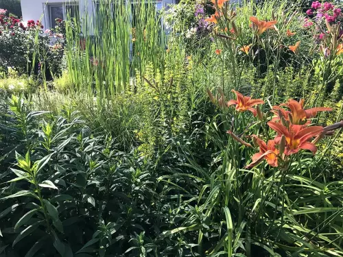 Garten Scharten