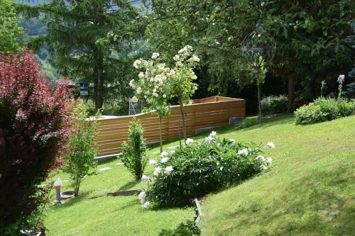 Rosen und Pfingstrosen in unserem Garten