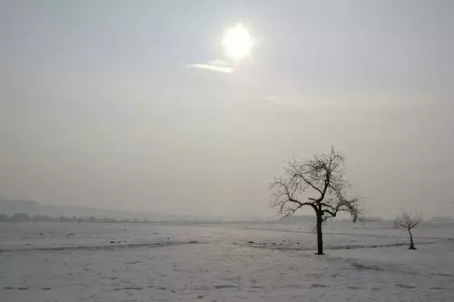 winter_alkoven